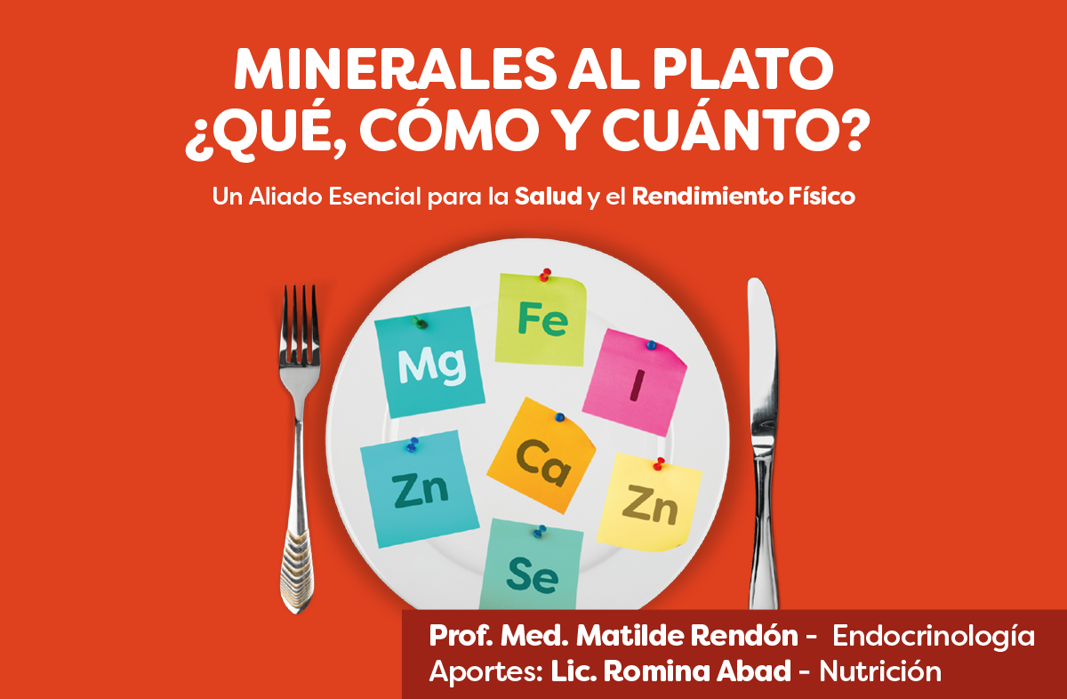 Guía Minerales al Plato